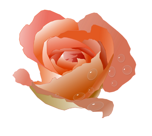 Rose_edited_edited.png
