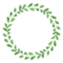 植物のリース5