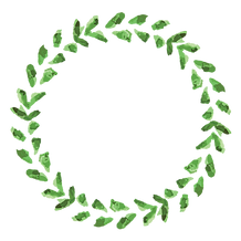植物のリース5