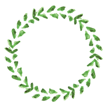 植物のリース5