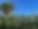 IMG_7376.png