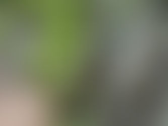 第五六章「箕面」