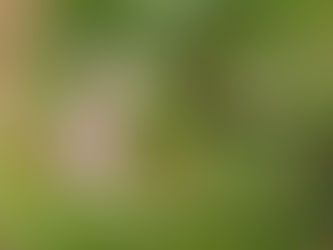 FD35-70 F3.5-4.5作例