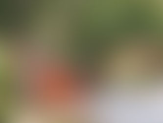 第一二九章「比叡山 坂本」