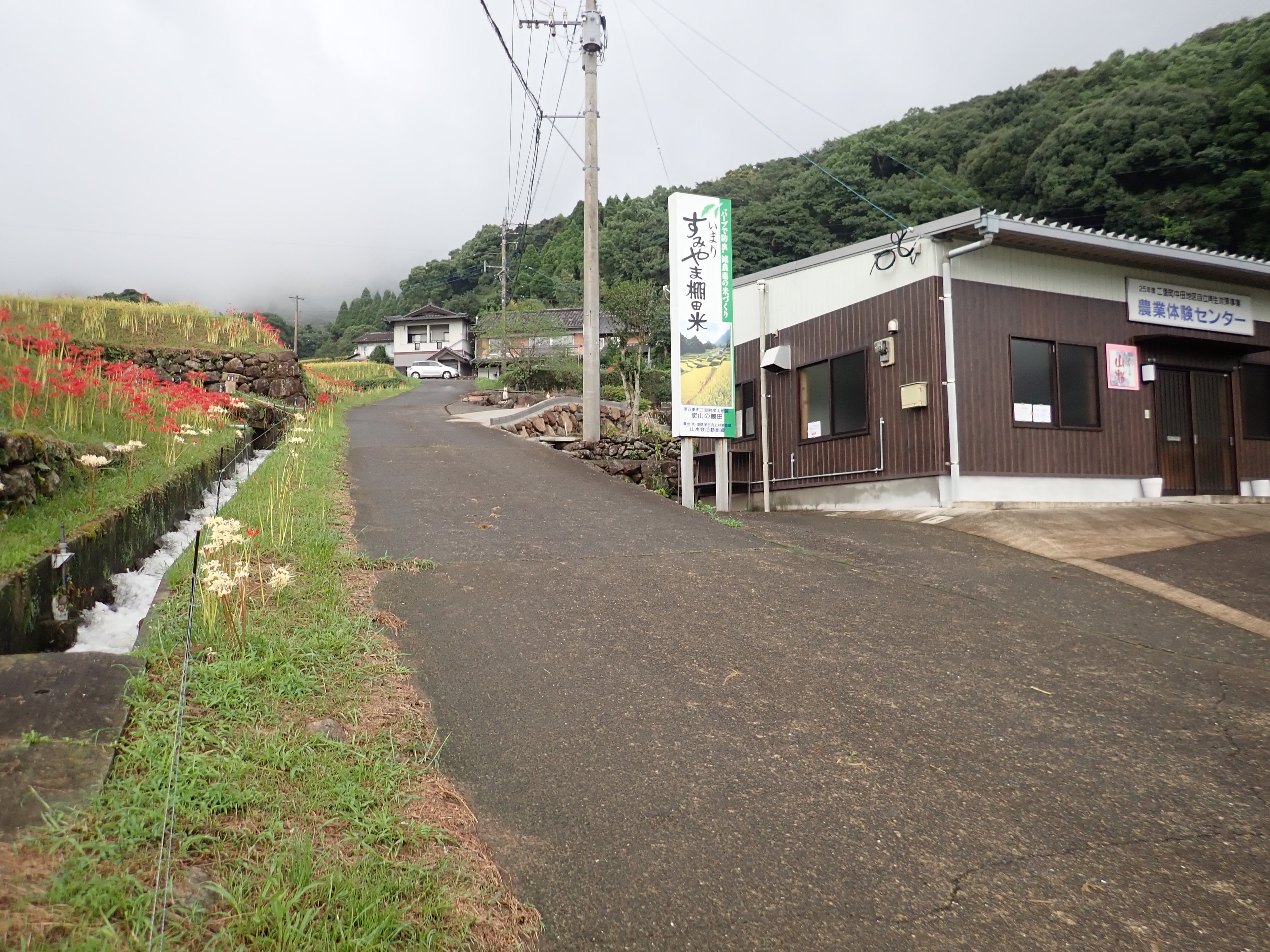 伊万里市炭山棚田