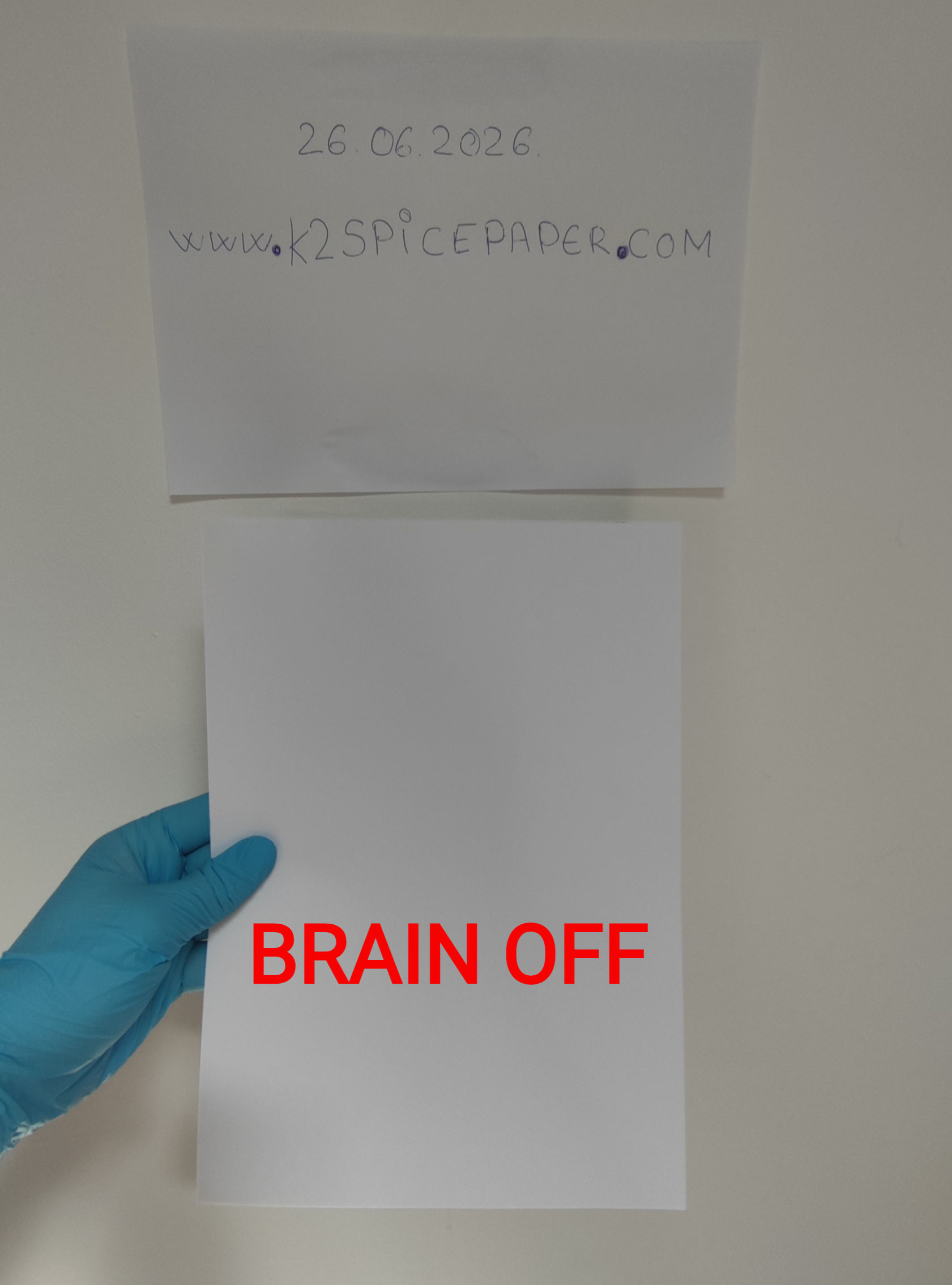 K2 A4 SHEETS - BRAIN OFF