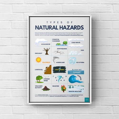 Natural Hazards Poster Print Coco Bella