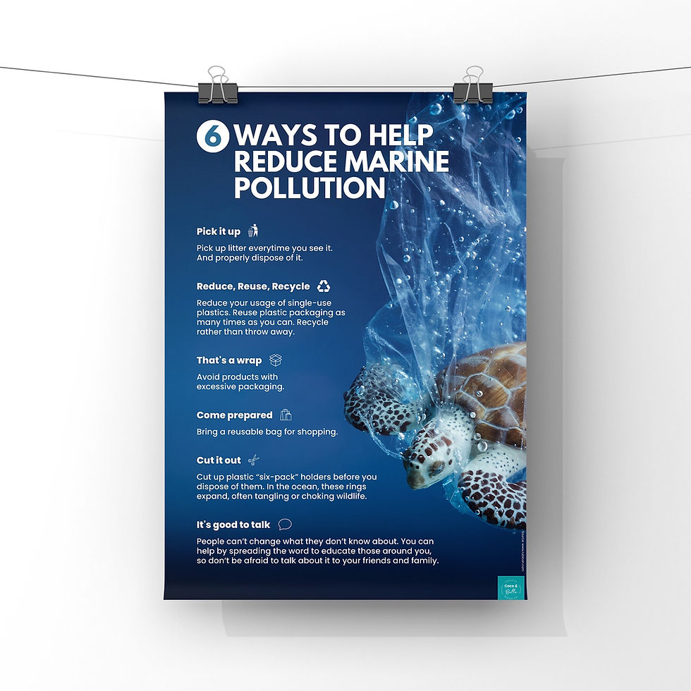Thumbnail: Poster: Six ways to help reduce marine pollution and a sea turtle. Coco & Bella
