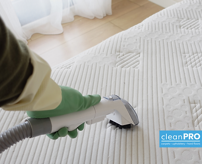 Mattress Cleaning.png