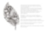 Thumbnail: Doodle Workbook