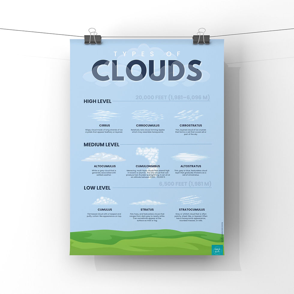Thumbnail: Clouds poster with cloud types hanging on a white background coco & bella
