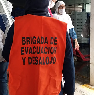 WhatsApp Image 2022-11-08 at 10.28_edited.jpg