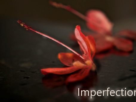 How to deal with Imperfection: the catholic way