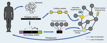 Review article published in Current Opinion in Systems Biology