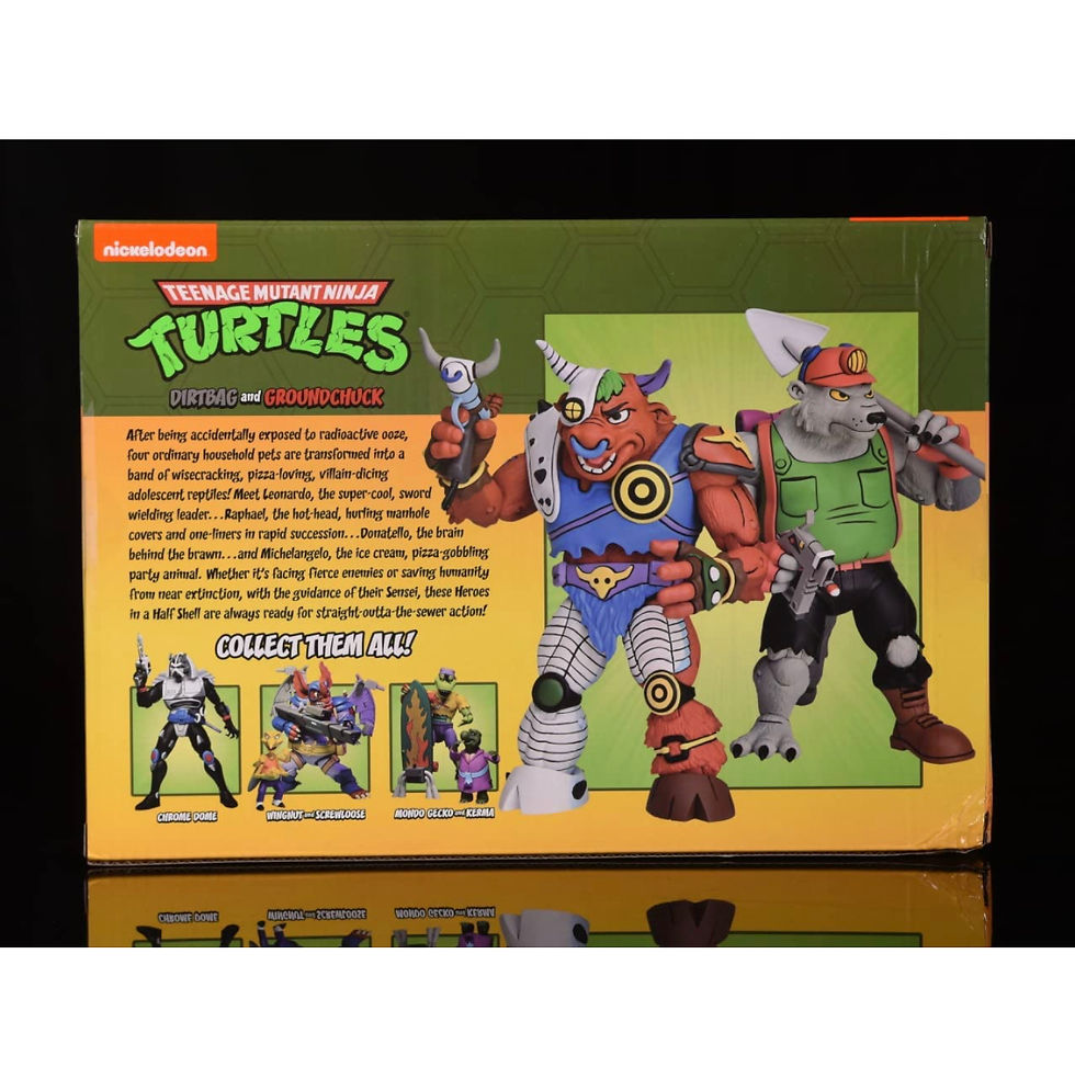 Прев'ю: Фігурки NECA TMNT Лантух та Шкідник к\п