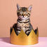 Leading Is Emotionally Draining. Here’s How to Recover. - Harvard Business Review