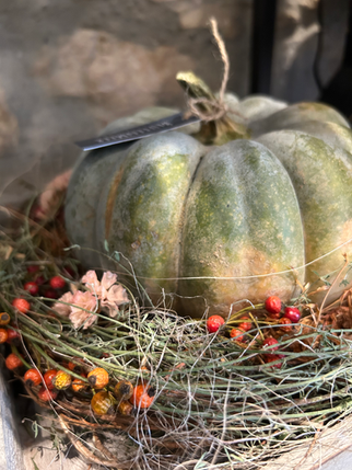 Ein farbiger Kürbis, erstellt im BlütenMeer in Brugg, Frick und Baden.