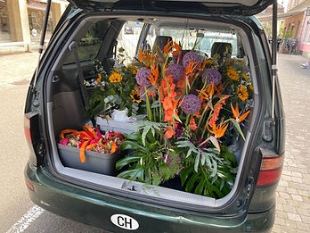 BlütenMeer Blumenmobil