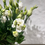 Miniaturbild: Lisianthus