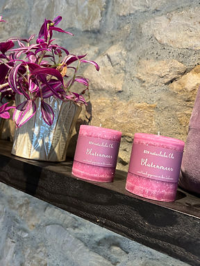 kaufen im Blumengeschäft Kerzen, passender Topf, liebevolles Handwerk in Brugg, Frick und Baden