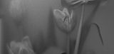 IMAGE BY STEUN STUDIOS JUNE25-17.jpg