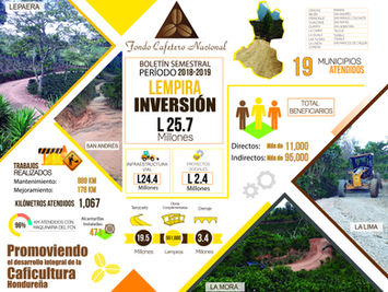 Boletín Semestral Período 2018-2019 - Departamento de  Lempira