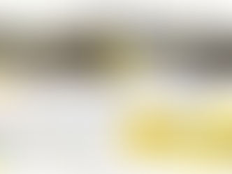 FCN ENTREGA DE PROYECTO DE REHABILITACIÓN DE PUENTE RÍO EL ORO ESQUÍAS, COMAYAGUA.