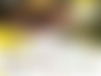 Boletín Informativo de Actividades al cierre del año cosecha 2018-2019