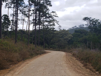 El Fondo Cafetero realiza obras de mantenimiento en el municipio de Lajas Comayagua.