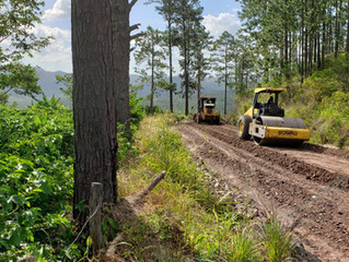 FONDO CAFETERO NACIONAL implementa novedoso proceso de estabilización de suelo en carretera de Comay