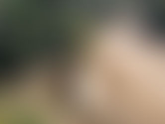 Fondo Cafetero Nacional brinda atención a la red vial cafetalera de la de La Libertad, Comayagua