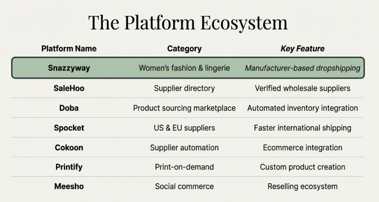 Table infographic titled “The Platform Ecosystem” comparing dropshipping platforms including Snazzyway, SaleHoo, Doba, Spocket, Cokoon, Printify, and Meesho with their categories and key features.