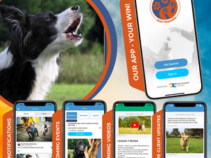 We’re excited to introduce the Shaman’s Way Dog Training App — your all-in-one, interactive training companion!