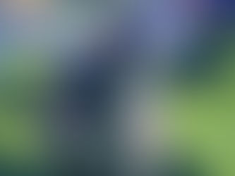 Ask The Trainer! Why Positive Methods Matter