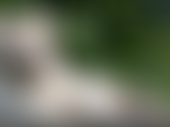 The Price of Loss: Endangered Species' Impact on Human Well-being