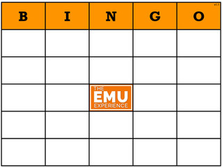 3 Reasons Why You Should Play BINGO in Your Training Course