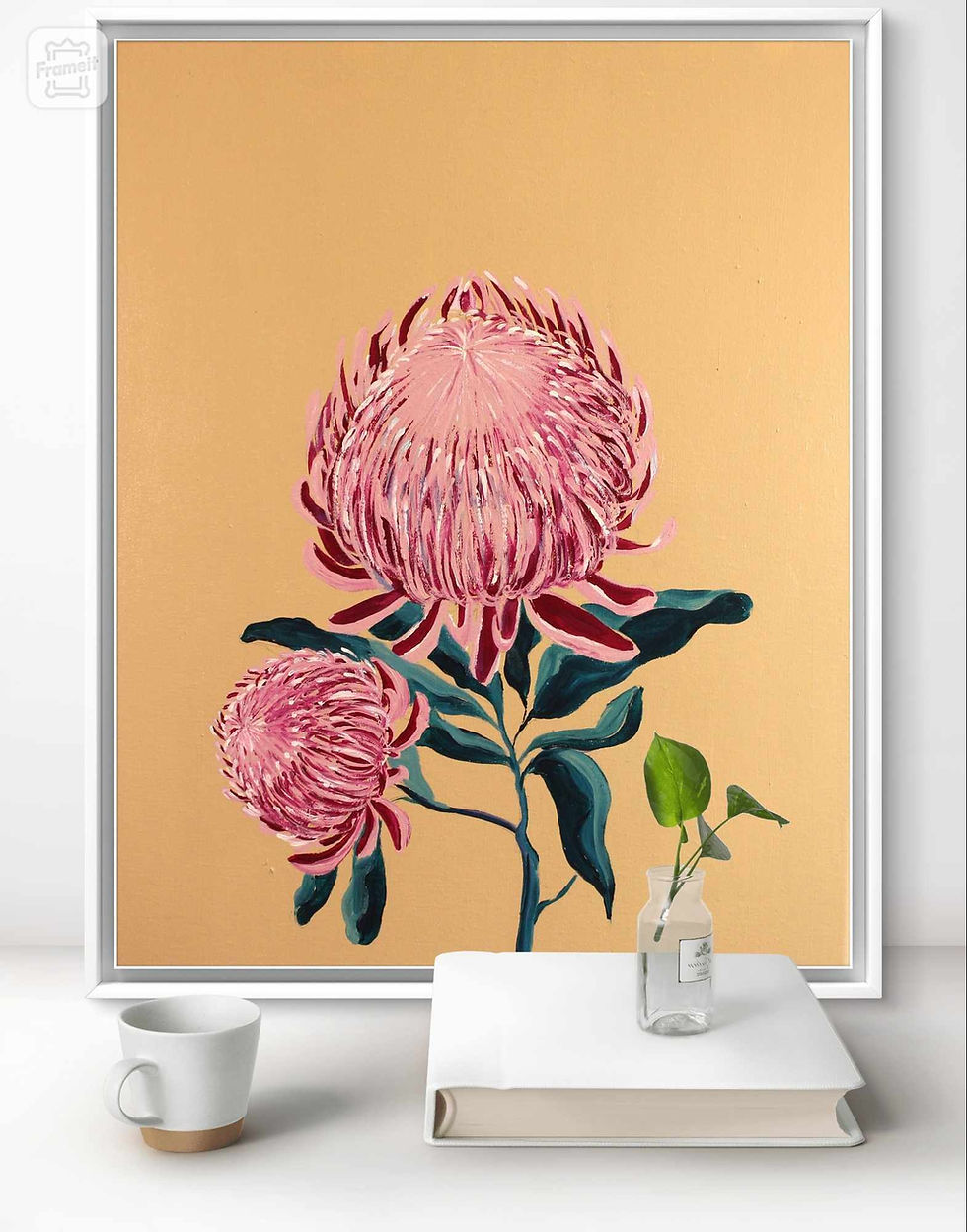 Thumbnail: Australian Protea
