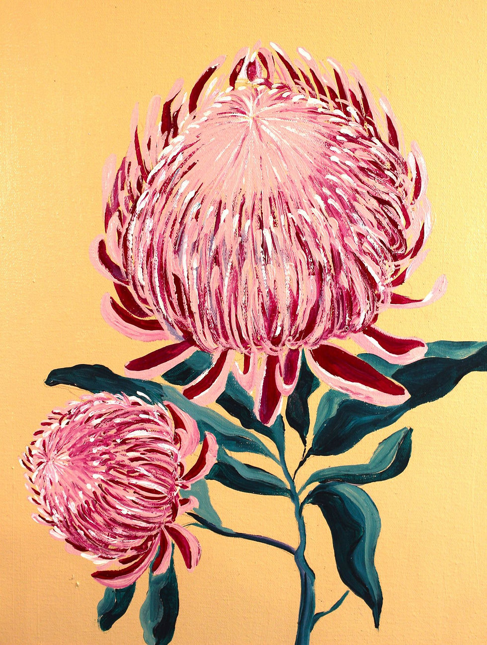 Thumbnail: Australian Protea