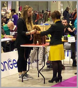 51146928_428908937650244_525430108683920