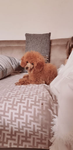 e09f754b-77a7-4f55-9e00-cf797666b9d2