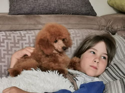 5b516931-3ef6-4b12-8e5e-b91a63a1e6b0