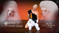 Dodi Rafael II s Ostreva Grez  TOY 26 CM ***ENTRA***