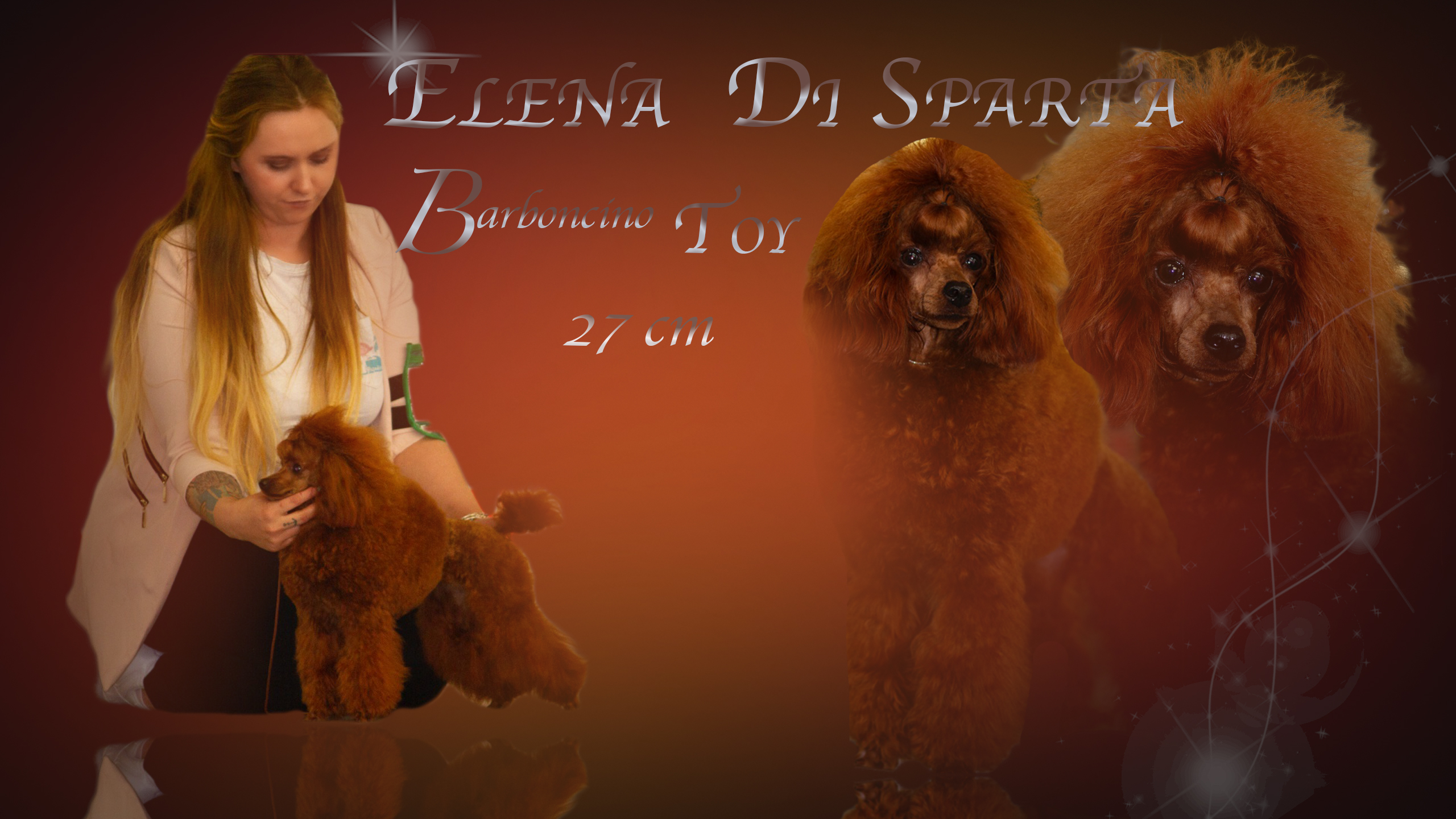 Elena di Sparta TOY 27 CM ***ENTRA***