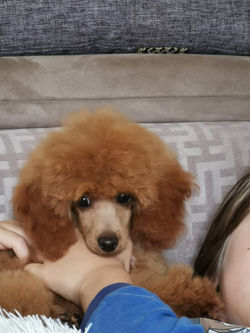 6b4a42ad-5a39-4ef4-9a2c-41f37f847d60