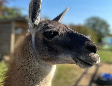 547943675_1200874658747826_8878031119387