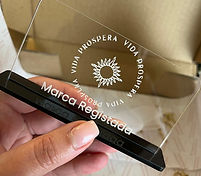 Imagem WhatsApp 2025-09-10 às 17.01.49_cb29a04f.jpg