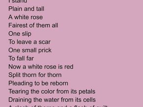 Ayla Sanders: Poetry Collection