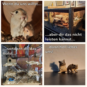 Meme zur Rennmaushaltung, Wenn du uns willst (zwei Rennmäuse), aber dir das nicht leisten kannst (artgerechtes Gehege), sondern dir das holst (Gitterknast), dann hol lieber uns! (Rennmausfiguren)