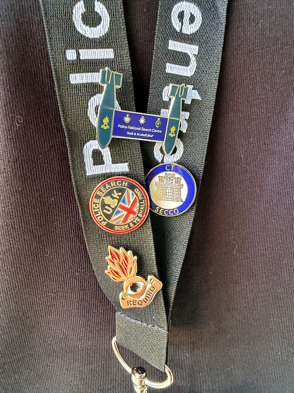 Thumbnail: SecCo Pin Badge (SecCo only)