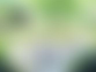 2020.8.8 むささび/清流あそび